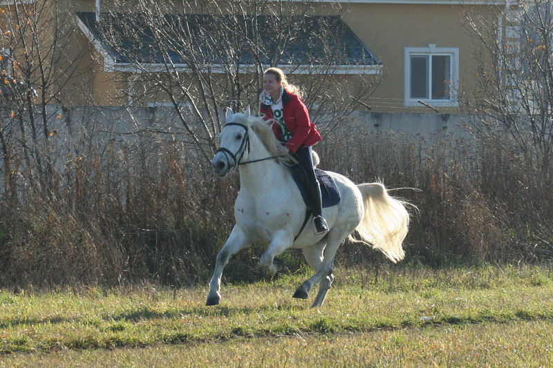 IMG_1106.jpg1.jpg"%20height="533"%20width="800